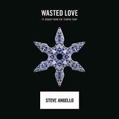 STEVE ANGELLO FEAT. DOUGY FROM THE TEMPER TRAP - WASTED LOVE